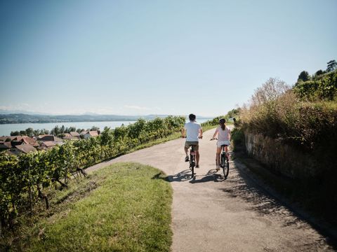 Cyclistes entre les vignes, avec vue sur le lac