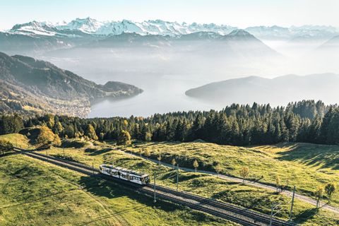 Man blickt von Rigi Kulm hinab auf eine grüne Wiese durch die die Rigi Railway fährt. Im Hintergrund der See und die Berge. 