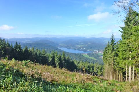 Beautiful sea view at the Black Forest