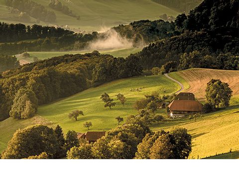 Vom Rüeggisberg hat man eine Aussicht ins Tal auf grüne Felder und Wälder. 