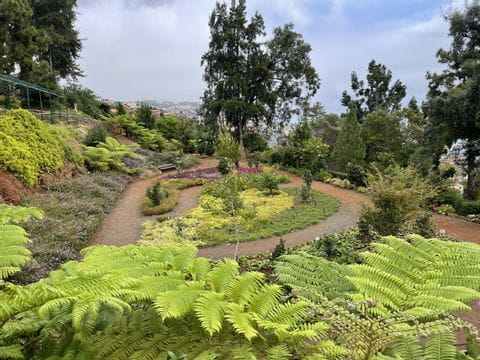 Der botanische Garten von Madeira ist ein grünes Paradies. 