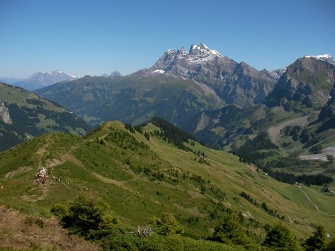 Alpine Wiesenlandschaft.