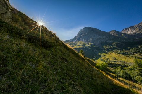 Sonnenbeleuchtete Bergwiese in Binntal mit Ausblick auf eine Berglandschaft im Hintergrund.