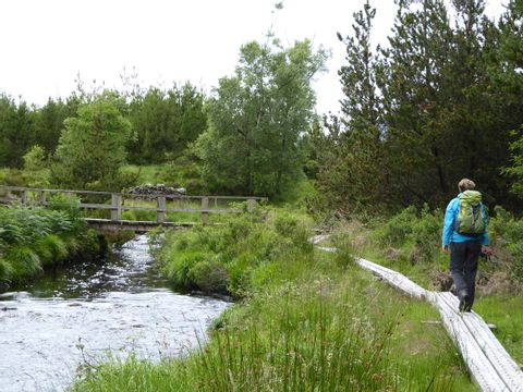 Wanderer auf einem Weg neben einem Bach. Irlands Western-Way. Wanderferien mit Eurotrek.
