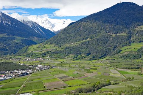 Mountain hiking in Vinschgau valley with view to mount Ortler