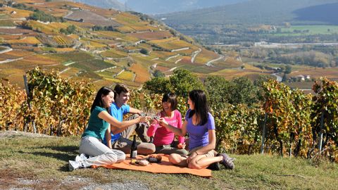 Four people take a break between the vines on the Valais Wine Trail.