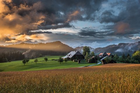 Une ferme dans une prairie. A l'avant de l'image, il y a un champ de blé et dans le ciel, un fantastique jeu de couleurs des nuages dans les tons bleus et bruns.