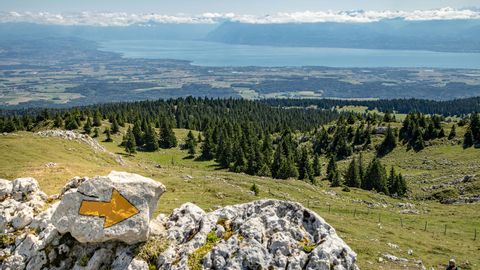 atemberaubende Aussicht auf Wälder und einen See. Jura-Höhenweg. Wanderferien mit Eurotrek.