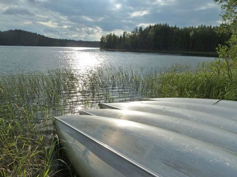 Ein See in Finnland liegt inmitten dichten Wäldern.