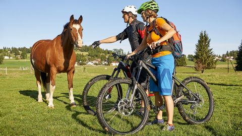 Biker im Jura begrüssen ein Pferd