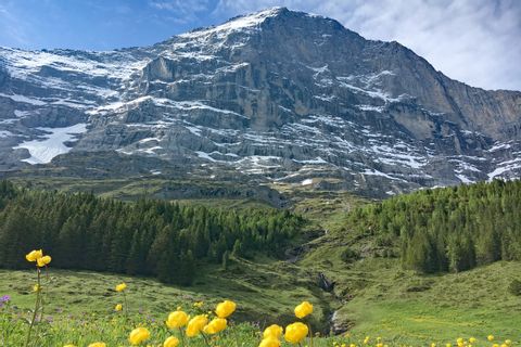 View at the Eiger