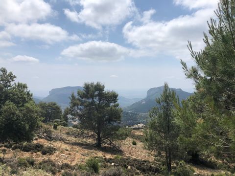 Ausblick auf zwei Berge auf der Finca-Wanderung auf Mallorca mit Nadelbäume im Vordergrund.