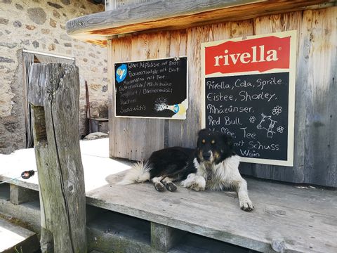 Ein Hund liegt auf einem Holzgestell vor einer Restaurant-Tafel im Nationalpark.