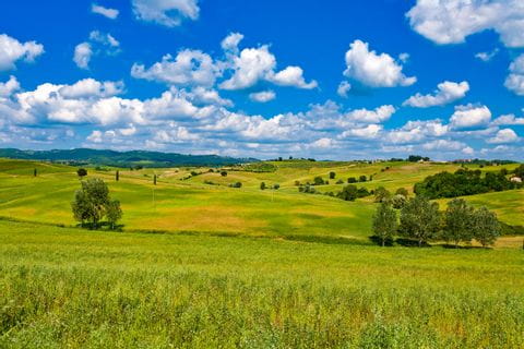 Green meadows in Tuscany
