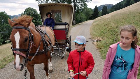 Randonnée en char attelé avec des enfants dans le Jura. Vacances actives avec Eurotrek.