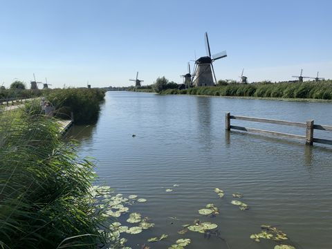 Sicht auf die Windmühlen von Kinderdijk am Wasser.