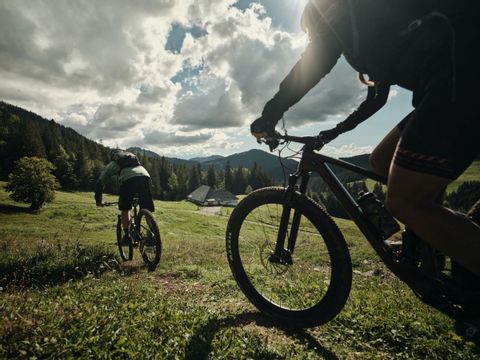 Mountainbiker auf einer Wiese in der schönen Fribourg-Region. Veloferien mit Eurotrek.