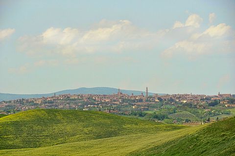 Vor der Stadt von Siena sind grüne Hügel zu sehen. 