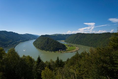Blick auf Wald und die Donauschlinge