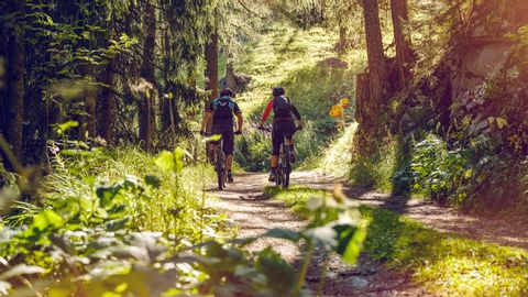 Two cyclists ride in the forest on the cycle path in Grächen on the Moosalp.
