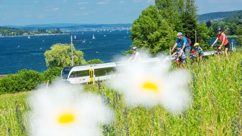A family cycles past a train in Eschenz in the canton of Thurgau.