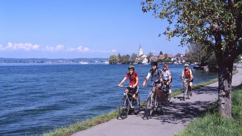 Radfahrer auf dem Radweg am Bodensee. 