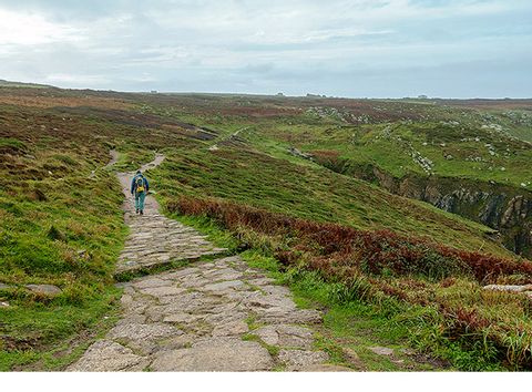Ein Wanderweg führt durch die Landschaft Cornwalls.
