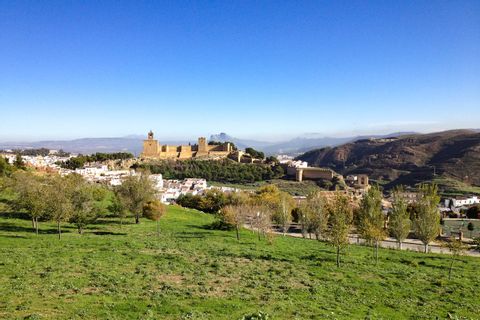 View of the Alhambra