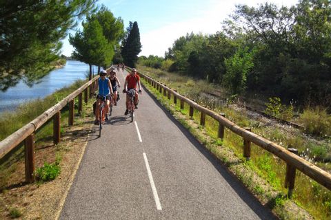 Radtouren in der Provence und Camargue