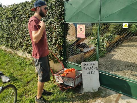 Mann vor einem Garten wo ein Schild auf den Tomatenverkauf hinweist, die auf einem Handwagen präsentiert sind