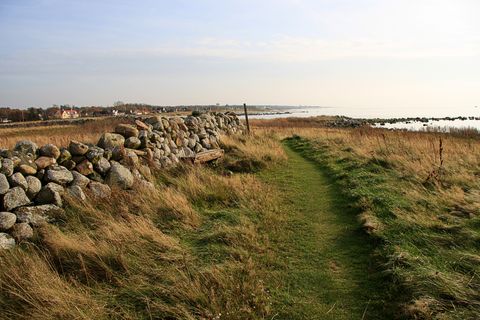 Eine Wiesenlandschaft am Ufer, durch die eine niedrige Mauer mit grossen Steinen verläuft.
