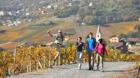 Vier Wanderer wandern auf dem Walliser Weinweg.