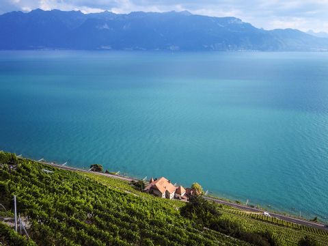 Bird's eye view. Lake Geneva : Lac du Léman
