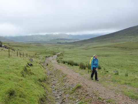 Eine Wanderin wandert durch weitläufiges Grün auf Irlands Western Way.