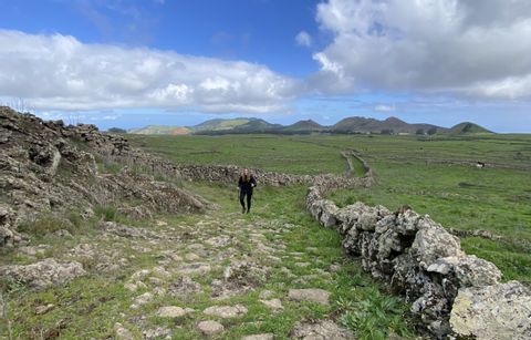 Die Felder von El Hierro erinnern mit ihren Steinmauern fest an die schottischen Highlands. 