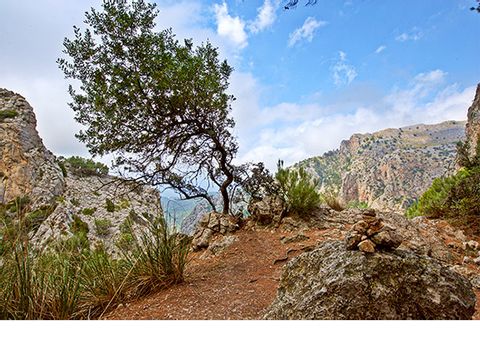 Auf der Finca Wanderung in Mallorca befindet man sich im Serra de Tramuntana Gebiet. 