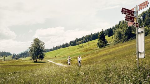 Wegweiser für Radfahrer und Wanderer. Dahinter pure Landschaft.