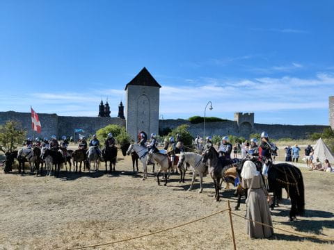 Eine Reihe mit Pferden steht vor einer Burg mit als Ritter verkleideten Reitern. 