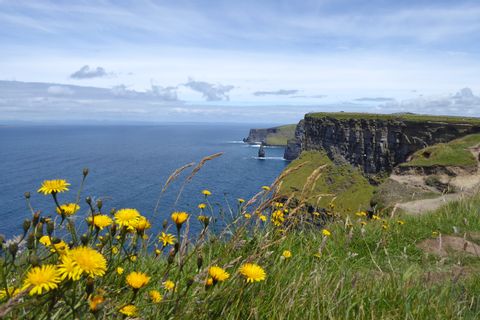 Hiking with panoramic views of the Cliffs of Moher
