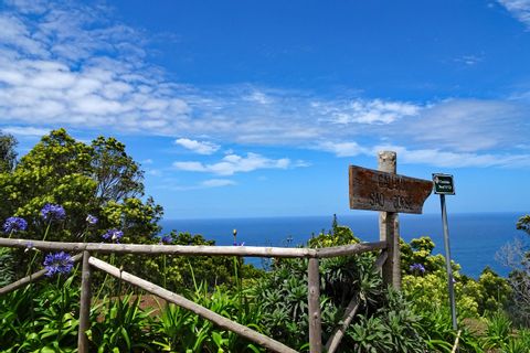 Wanderwege durch die blühende Vegetation Madeiras
