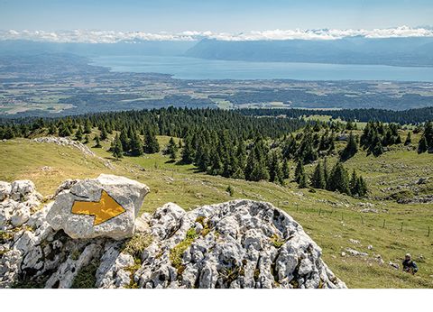 Fels mit Pfeil, im Hintergrund der Genfersee und die Alpen