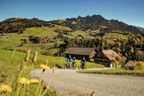 Drei Mountainbiker fahren auf einer Landstrasse vor einem wundervollen Bergpanorama.