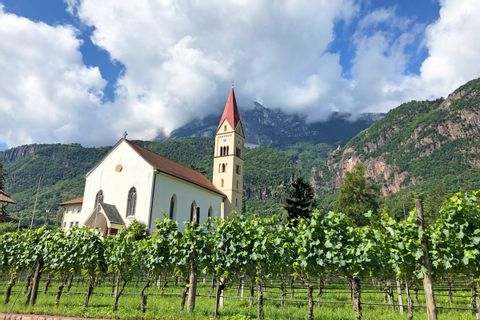 Idyllic church surrounded by vines