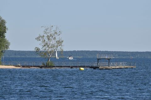 Ein romantischer Blick auf den See. Ein kleiner Baum steht auf dem Steg zum See. Aktivferien mit Eurotrek.