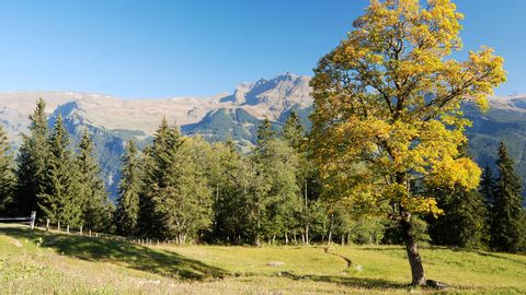 Nationalpark Panoramaweg Val Mora Eurotrek