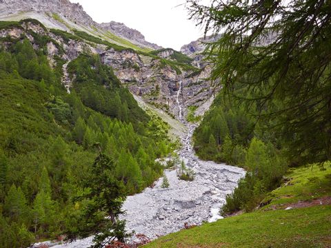 Ein abgestorbener Baum steht an einem Hang auf der Alp La Schera im Kanton Graubünden.