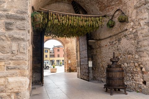 Trauben hängen in einem Durchgang von der Decke in Soave in der Region Veneto in Italien.