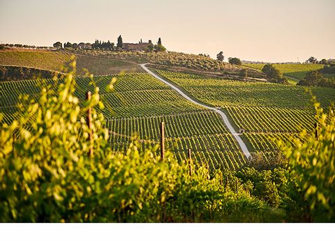 Das Weinanbaugebiet Chianti in Italien in der Toskana. 
