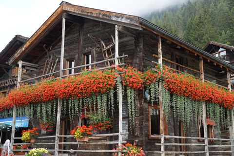 Eine Holzhütte, die mit vielen Blumen geschmückt ist. 