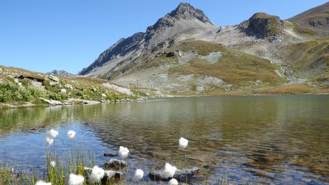Bergsee auf der Graubündner Hüttentour. Wanderferien mit Eurotrek.